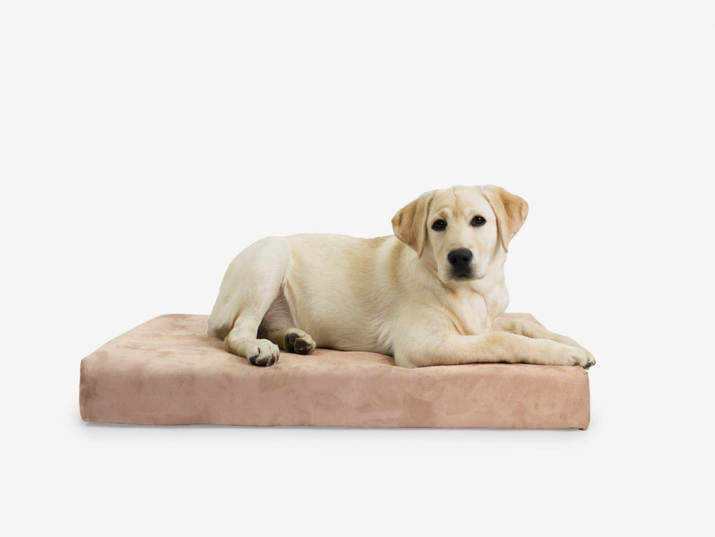 Orthopedic Dog Crate Bed product image 10