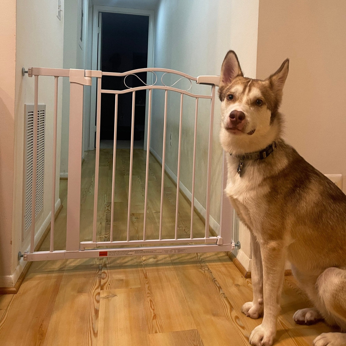 Walk-Through Pet Safety Gate product image 5