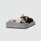 Water-Repellent Dog Crate Bed product image 14