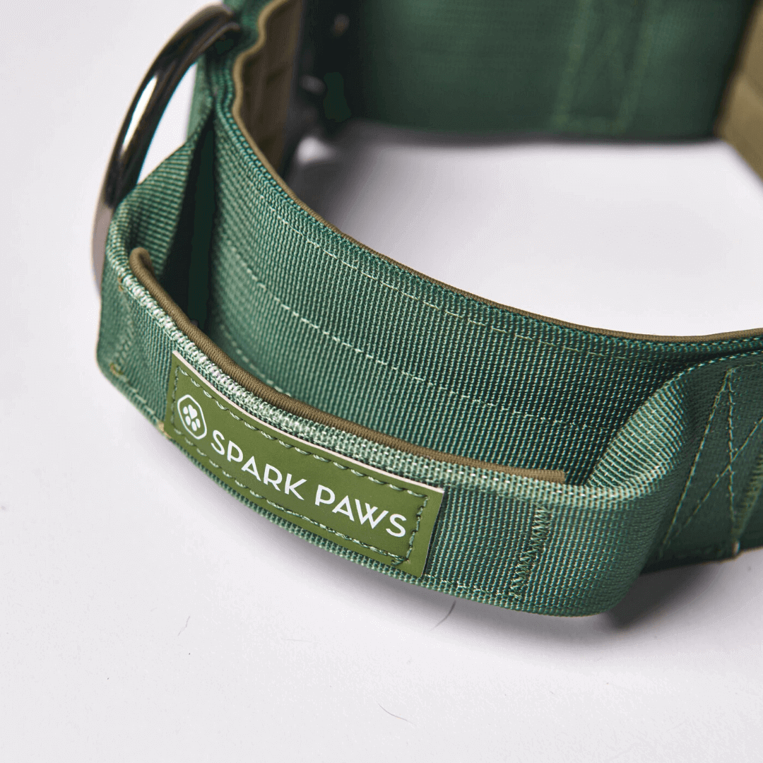 Control-Handle Dog Collar product image 5
