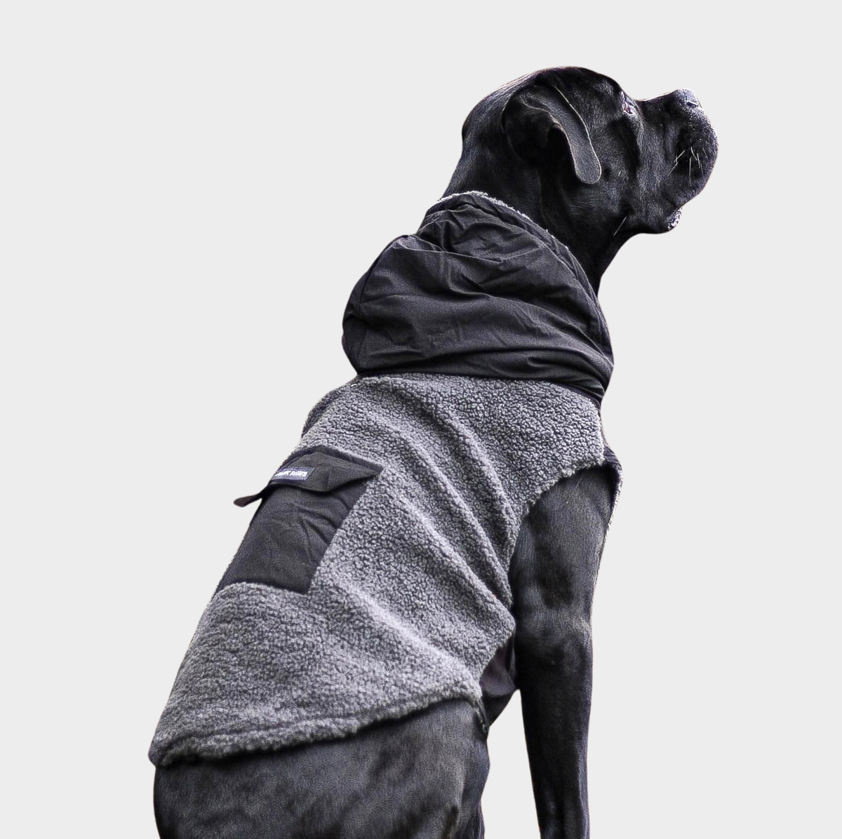 Reversible Sherpa Dog Jacket product image 4
