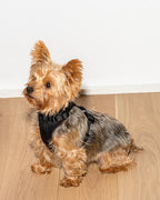 Cushioned No-Pull Dog Harness product image 48