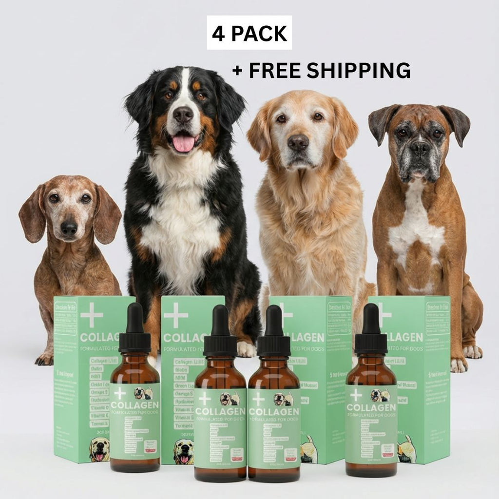 Liquid Collagen Supplement for Dogs product image 8