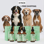 Liquid Collagen Supplement for Dogs product image 8