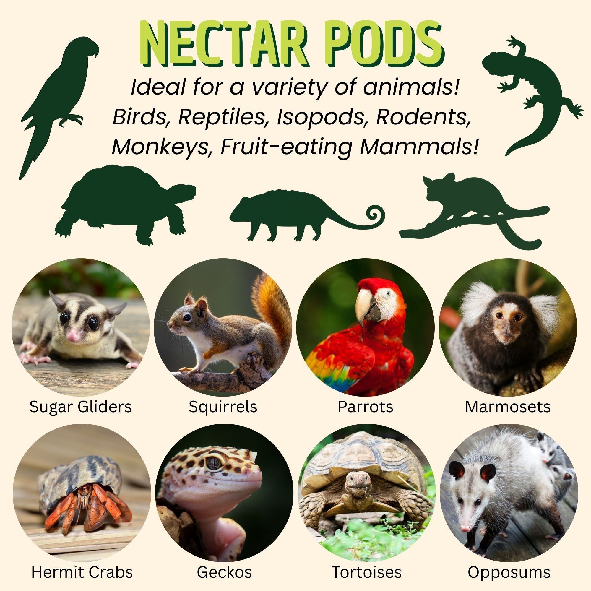 Fruit Jelly Nectar Pods for Exotic Pets product image 3