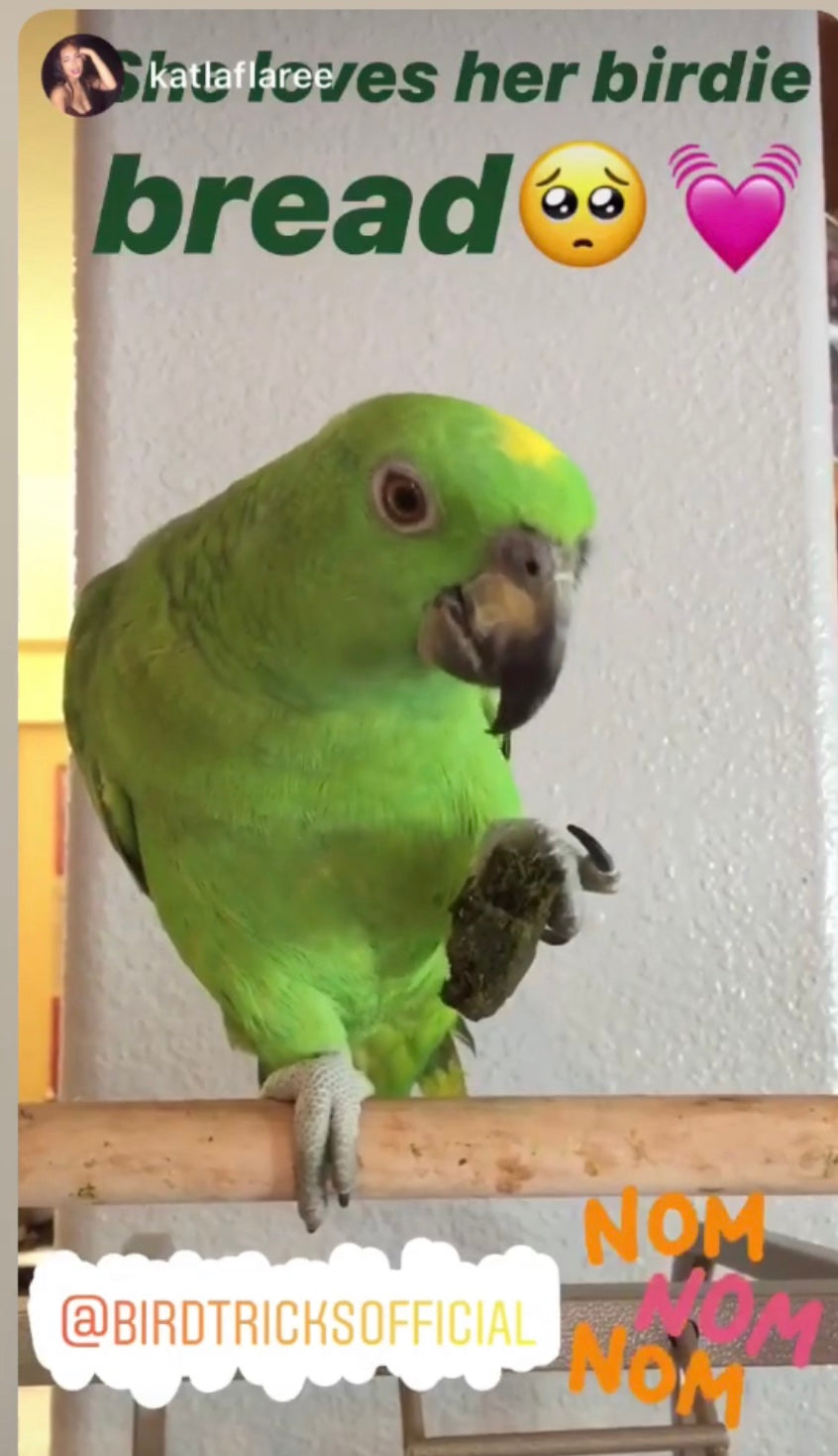 Parrot Birdie Bread Mix Bundle product image 24