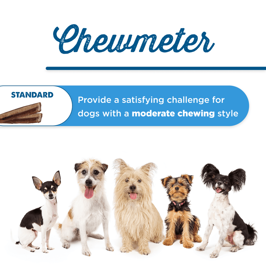Four-Inch Odor-Free Bully Sticks product image 8