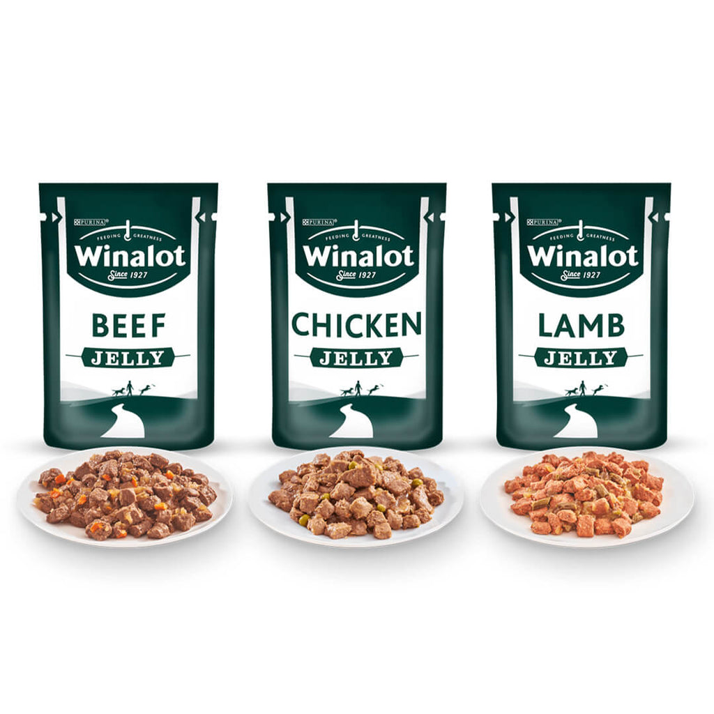 Wet Dog Food Meaty Chunks in Gravy, 40 x 85g Pouches for Complete Everyday Feeding with Beef, Chicken & Lamb Flavours
