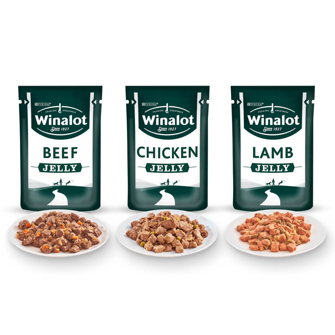Wet Dog Food Meaty Chunks in Gravy, 40 x 85g Pouches for Complete Everyday Feeding with Beef, Chicken & Lamb Flavours