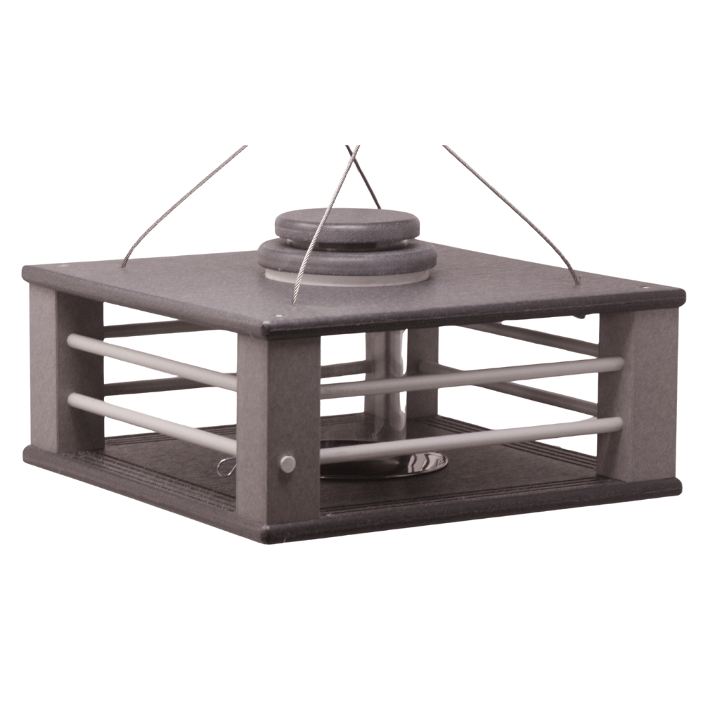 Eastern Bluebird Mealworm Feeder product image 14