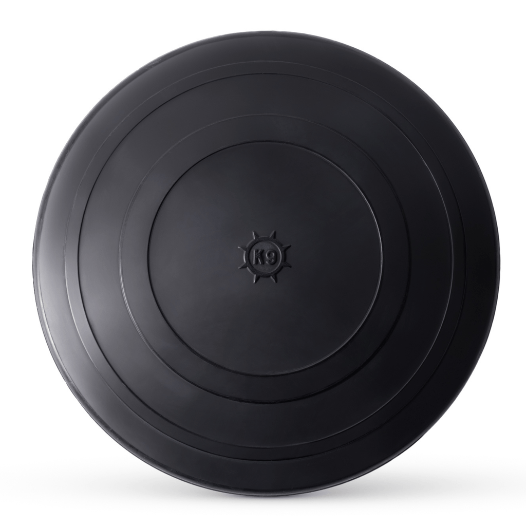 Dog Disc Toy product image 1