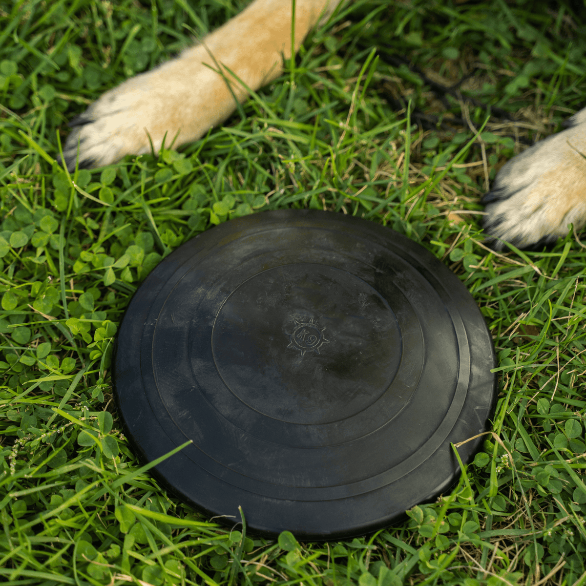 Dog Disc Toy product image 5