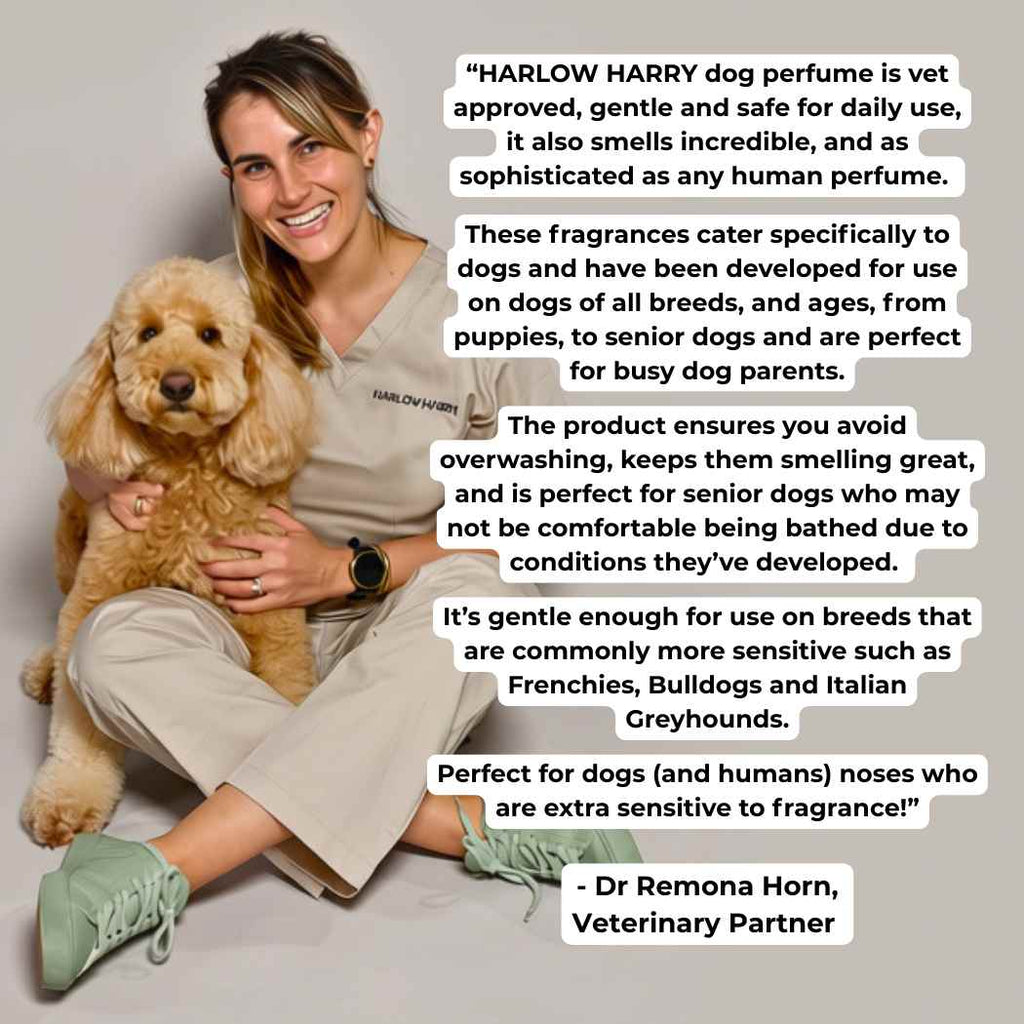 Dog Perfume product image 3