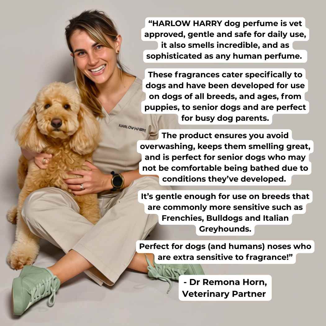 Dog Perfume product image 3