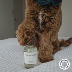 Dog Perfume product image 6