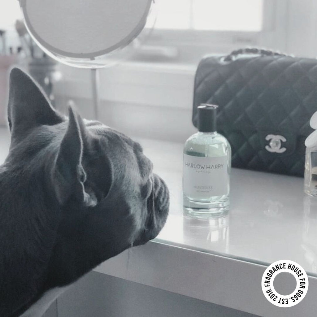 Dog Perfume product image 7