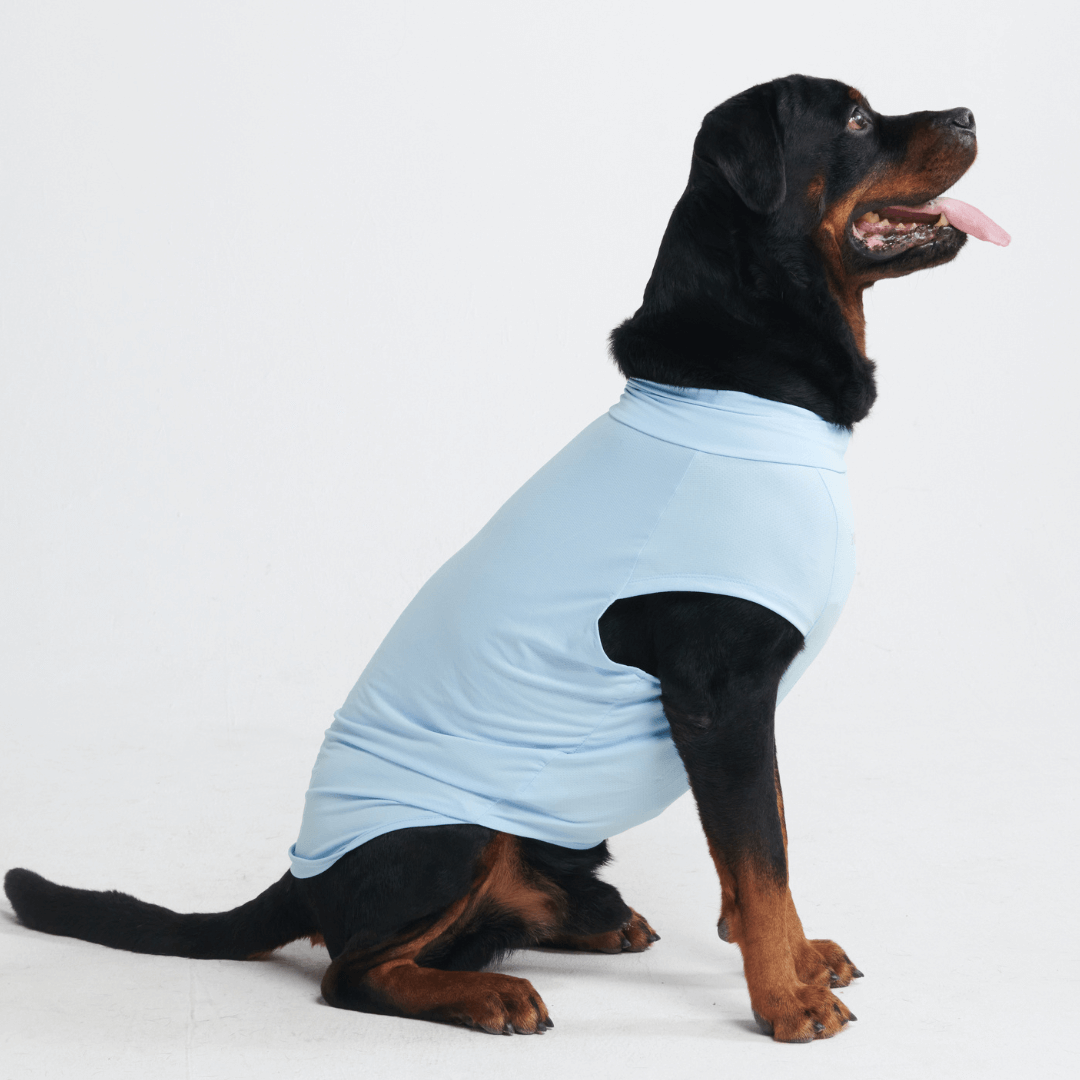 UPF 30 Dog Sun Shirt product image 15
