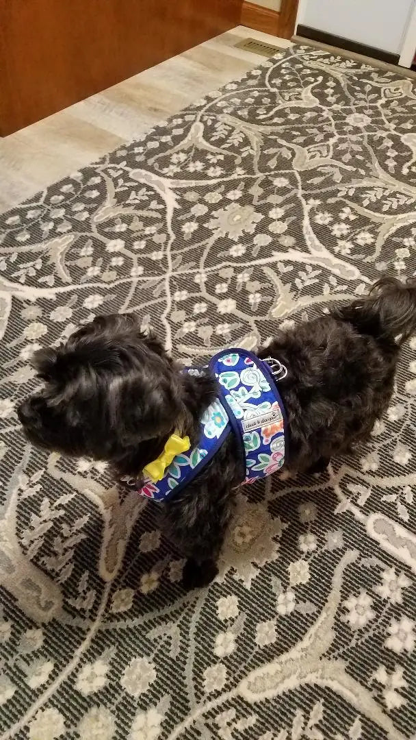 Small Dog Step-In Harness product image 5
