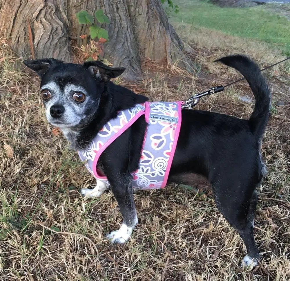 Small Dog Step-In Harness product image 8