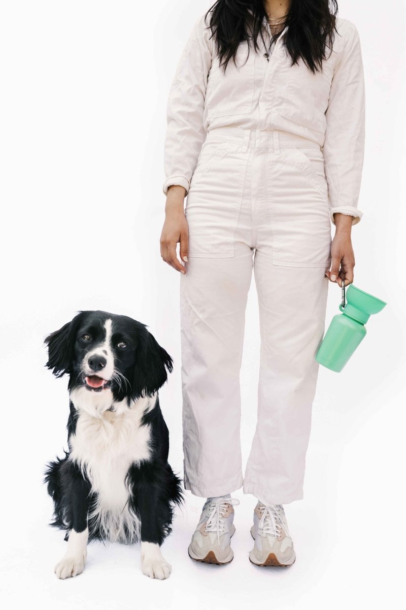 Dog Travel Water Bottle product image 1