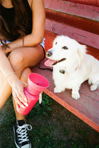 Dog Travel Water Bottle product image 8
