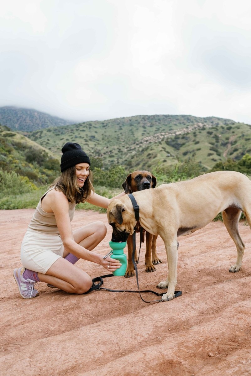 Dog Travel Water Bottle product image 15