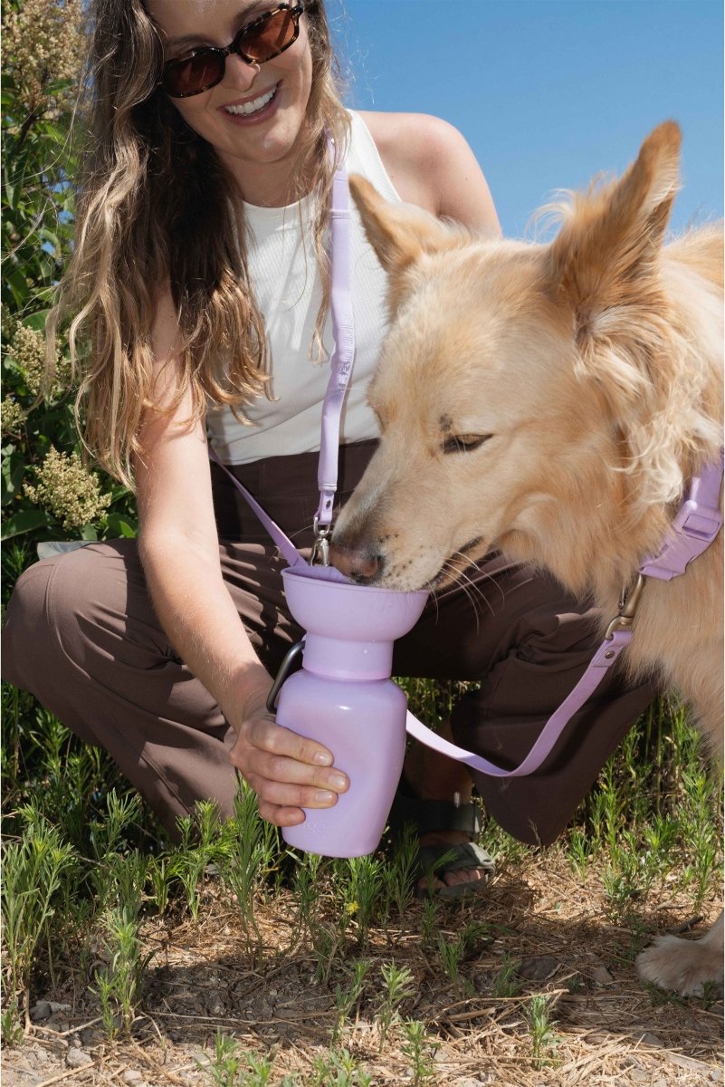 Dog Travel Water Bottle product image 18
