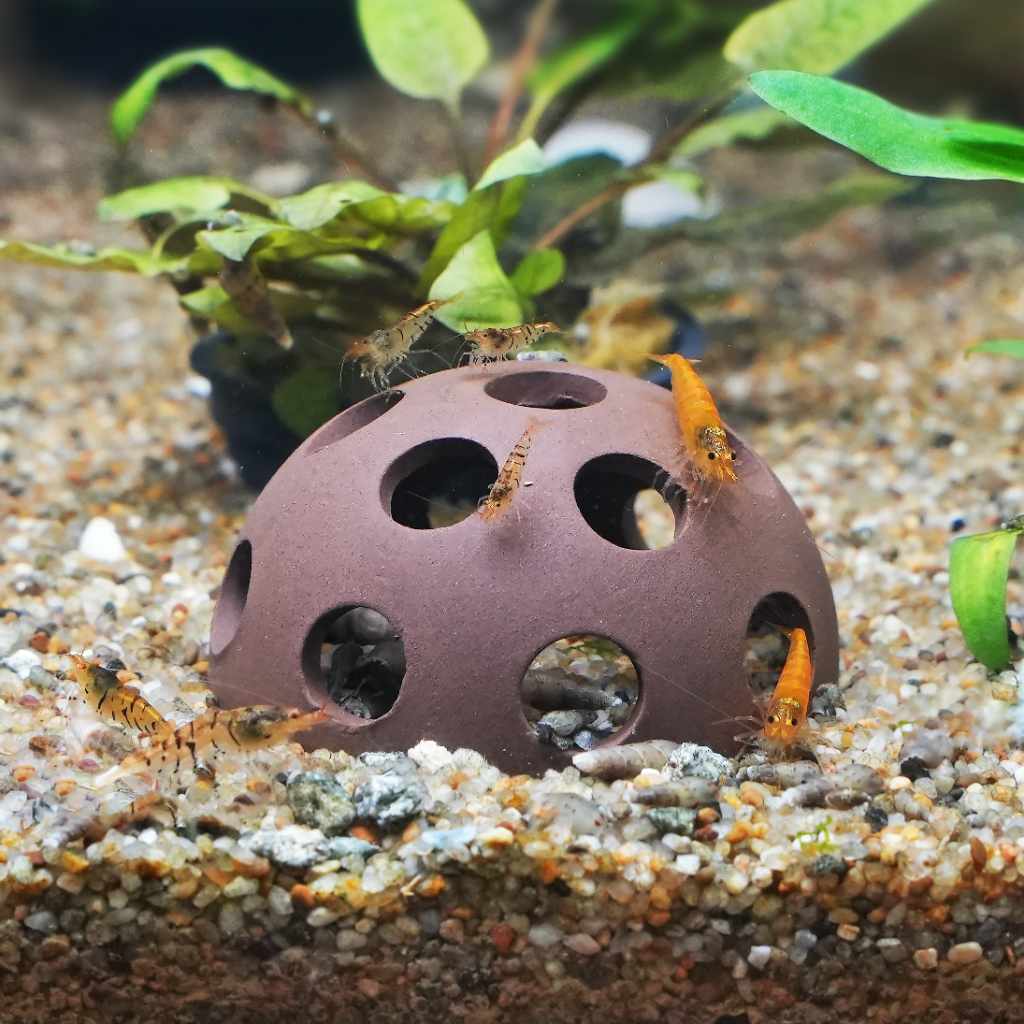 Aquarium Cave product image 2