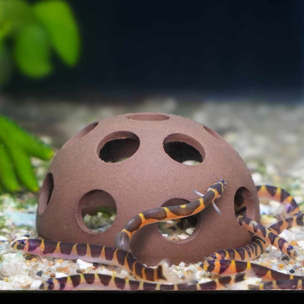 Aquarium Cave product image 3