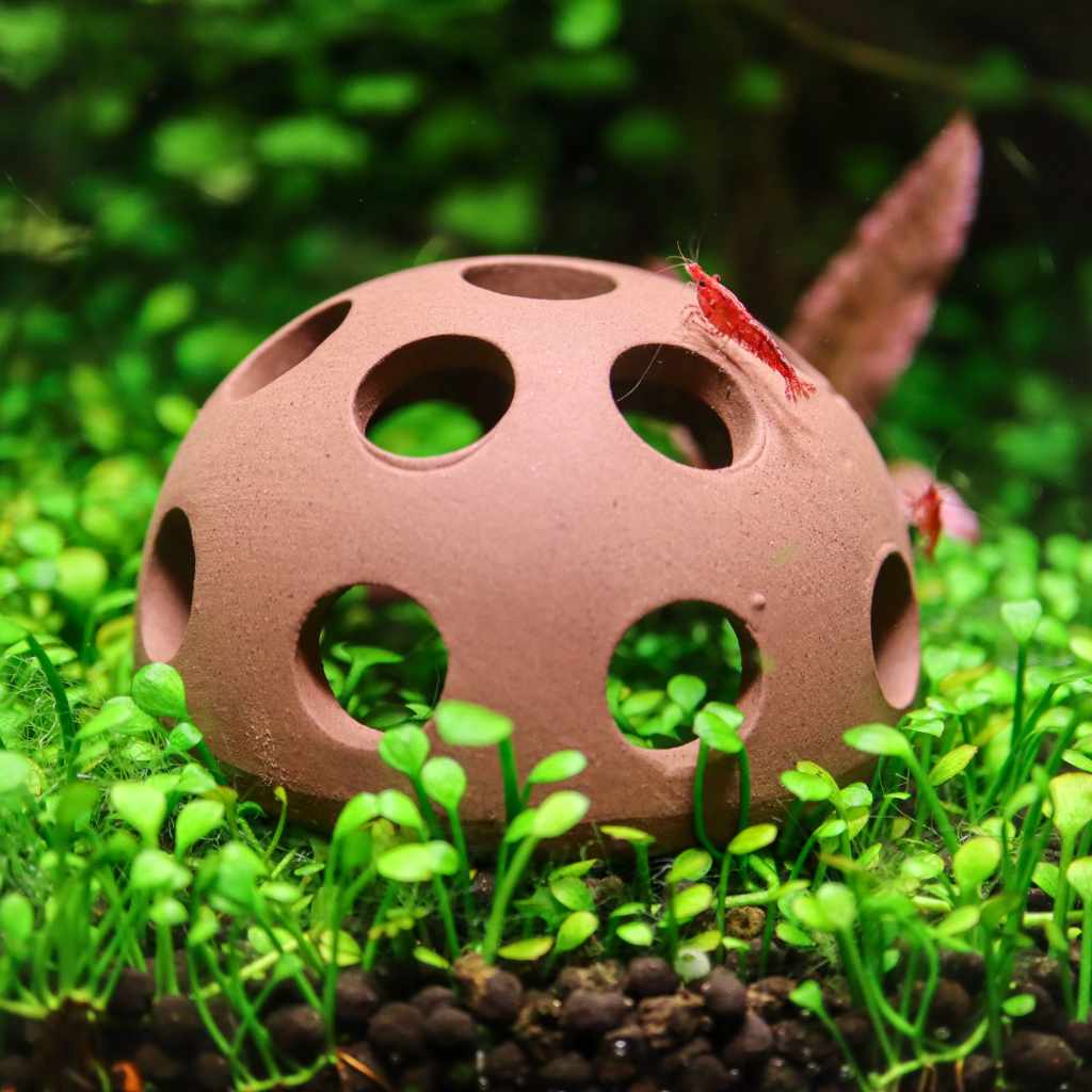 Aquarium Cave product image 4