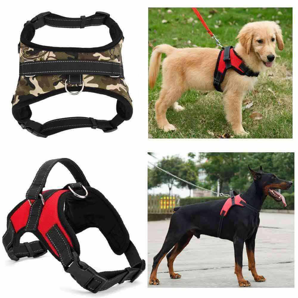 Adjustable Dog Harness product image 1