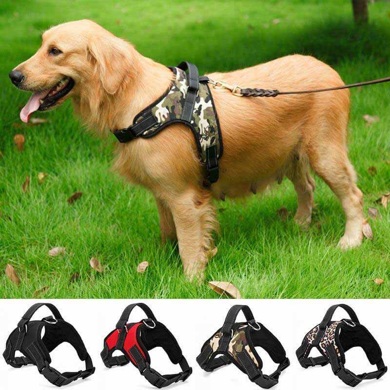 Adjustable Dog Harness product image 2