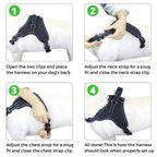 Adjustable Dog Harness product image 13