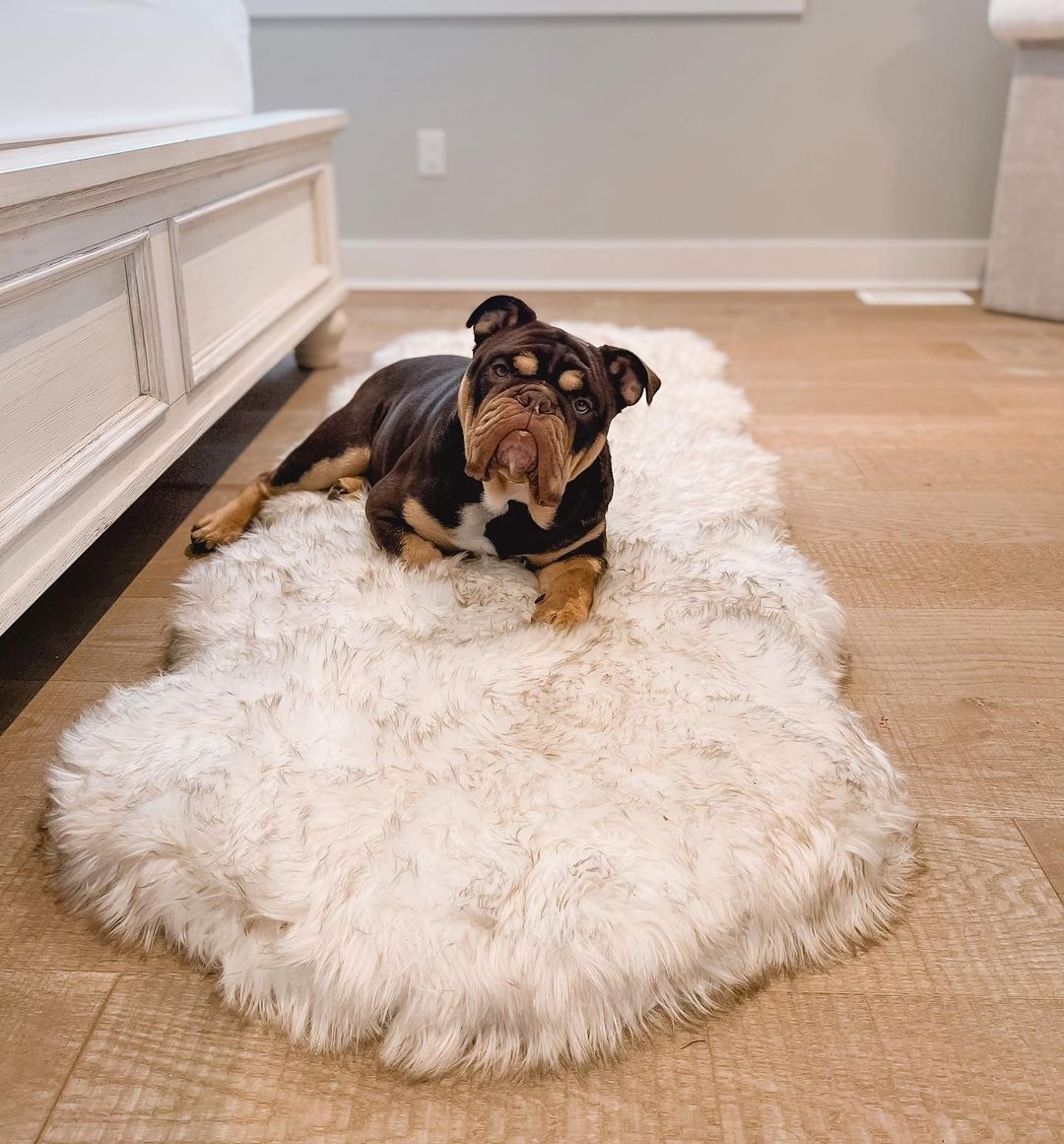 Faux Fur Memory Foam Dog Bed Runner product image 6