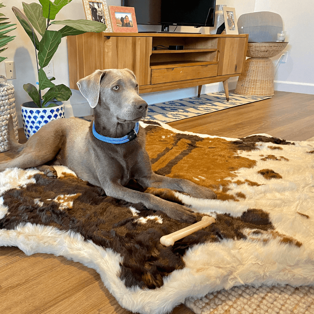 Faux Cowhide Memory Foam Dog Bed product image 4