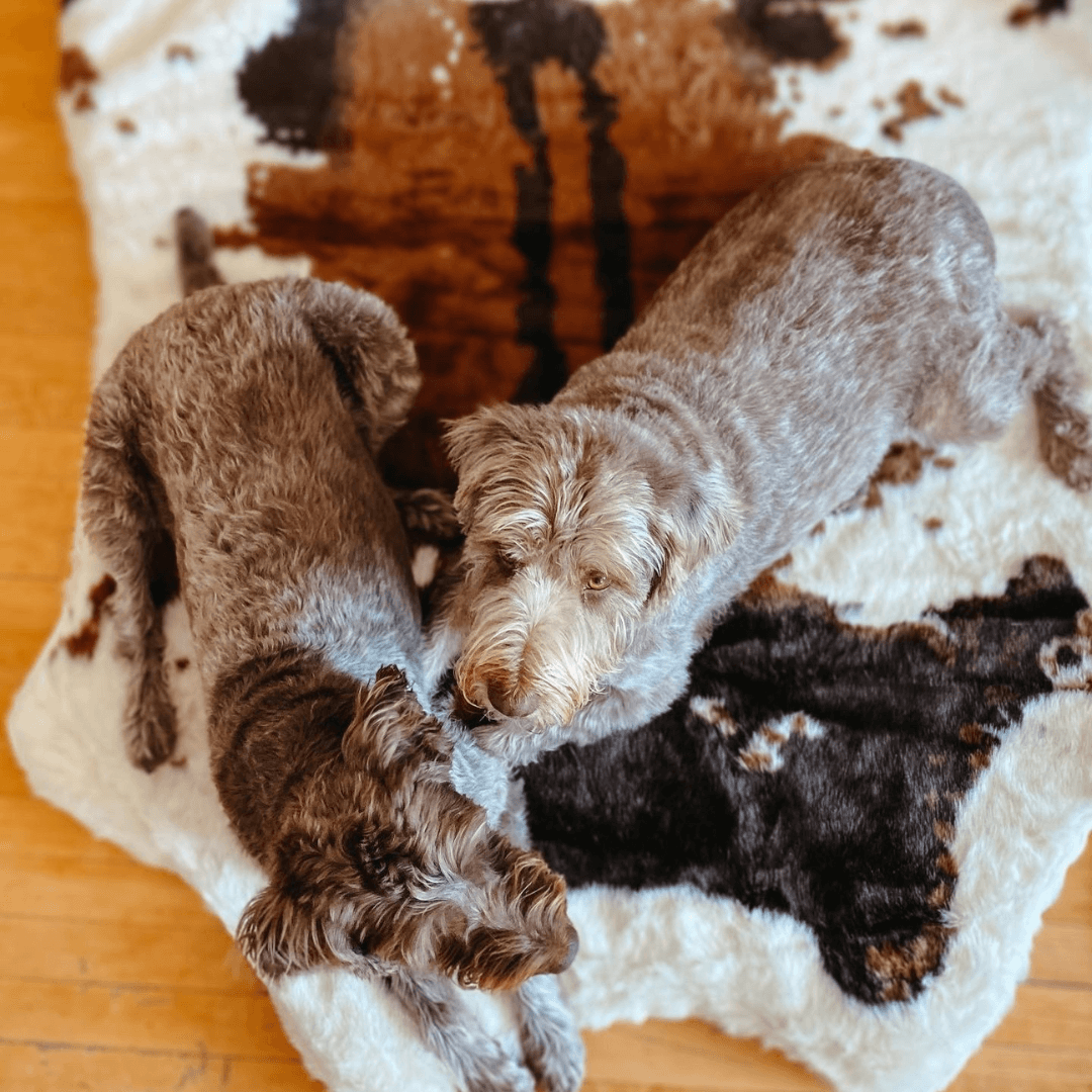 Faux Cowhide Memory Foam Dog Bed product image 8