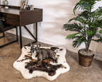 French Bulldog on Junior Brown Faux Cowhide