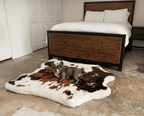 French Bulldog on Brown Faux Cowhide