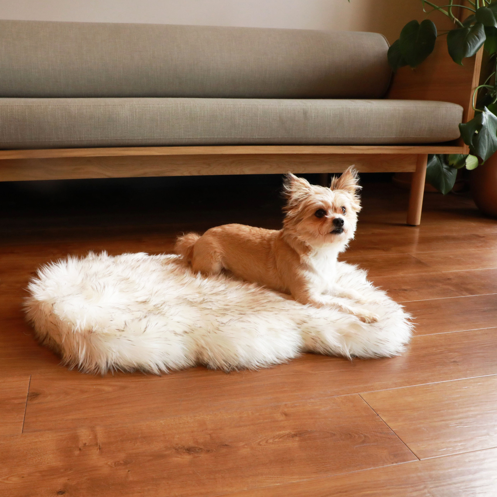 Orthopedic Dog Bed product image 3