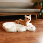 Orthopedic Dog Bed product image 3