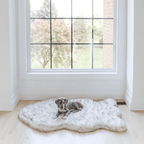 Orthopedic Dog Bed product image 4