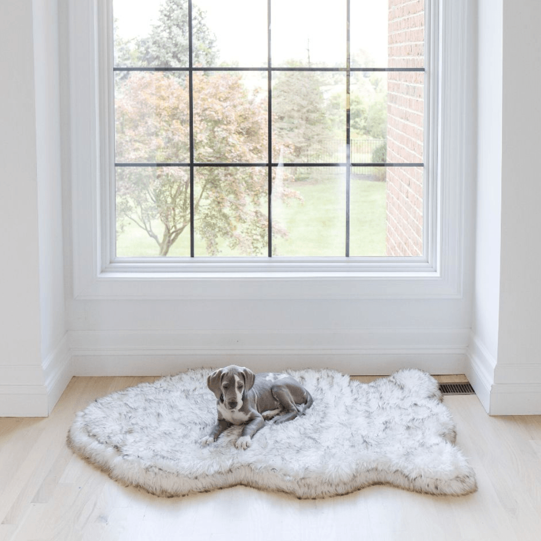 Orthopedic Dog Bed product image 4