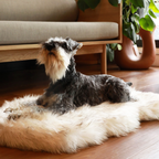 Orthopedic Dog Bed product image 8