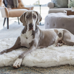 Orthopedic Dog Bed product image 10