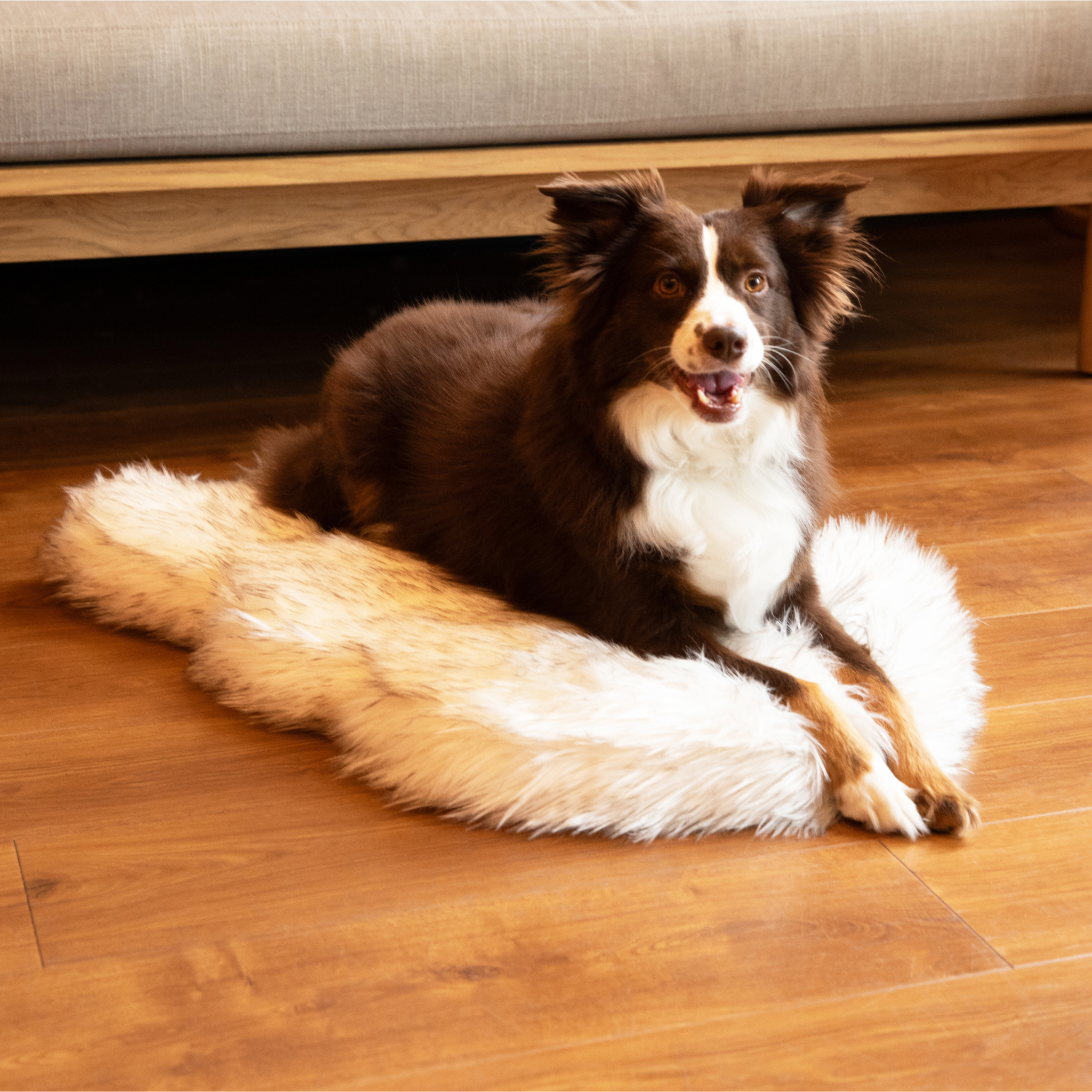 Orthopedic Dog Bed product image 12