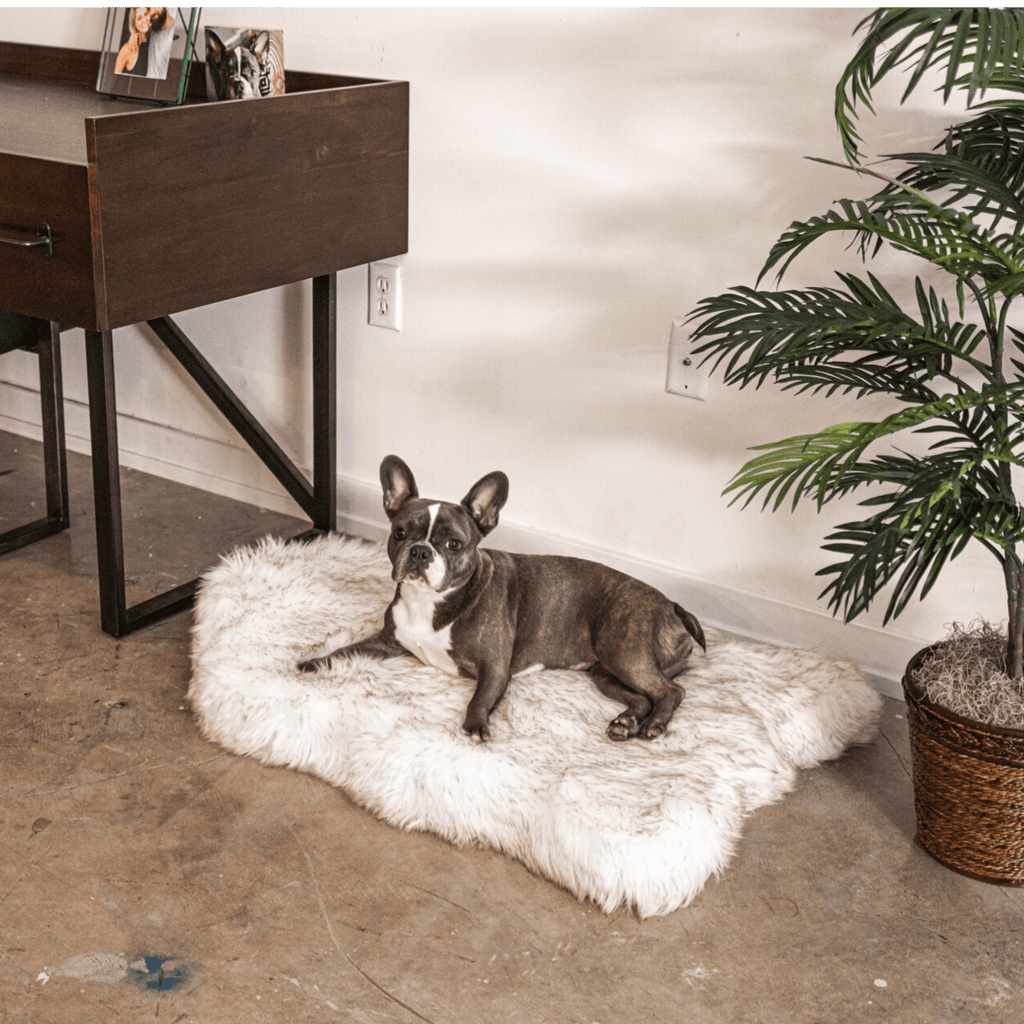 French Bulldog on White Curve Orthopedic Pet Bed Rug