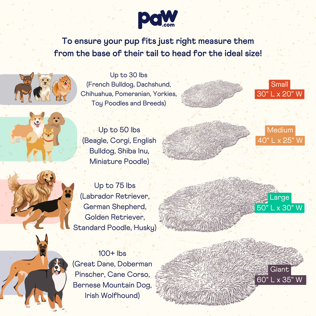 Orthopedic Dog Bed product image 15