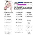 Breakaway Safety Halter product image 2