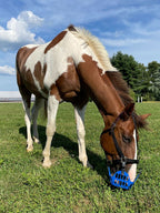 Breakaway Safety Halter product image 4