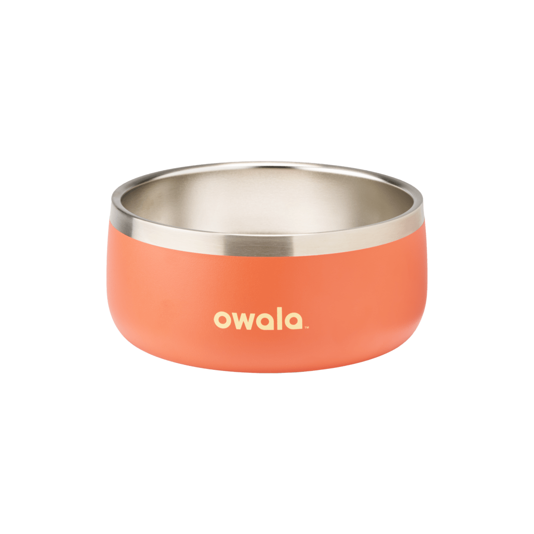 Stainless Steel Pet Bowl product image 19